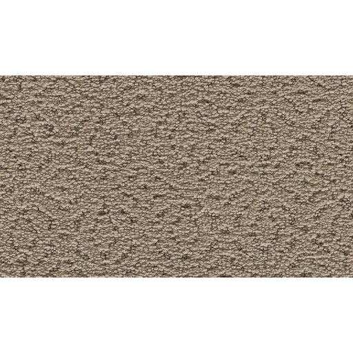 Exquisite Charm Forest Twilight 504