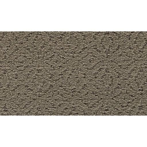 Exquisite Charm Ancient Oaks 510