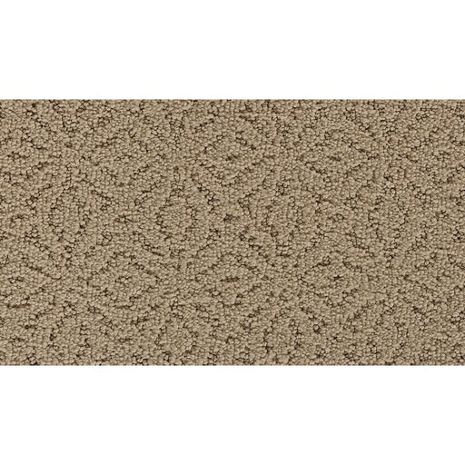 Exquisite Charm Marsh Grass 512