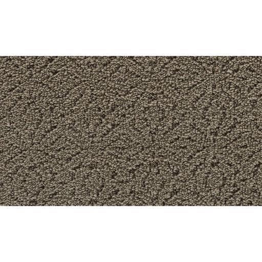 Exquisite Charm Cathedral 517