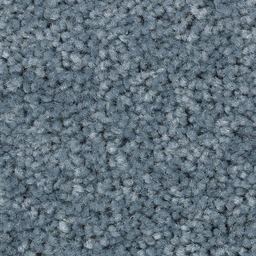 Treasure Valley Brisk 543