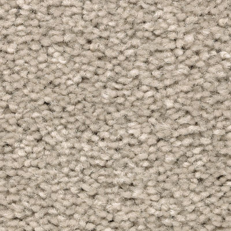Mohawk Rottenstone Mohawk Treasure Valley 720 Traditional Tan Carpet — Stone & Tile Shoppe ...