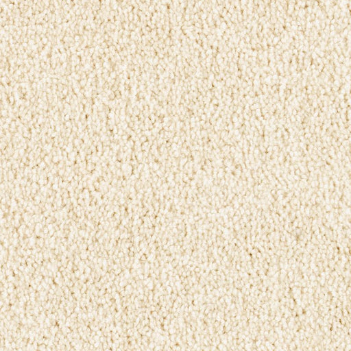 Treasure Valley Bone 917