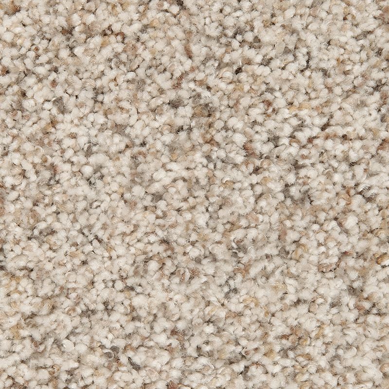 Mohawk Relaxing Presence 550 Antique Carpet — Stone & Tile Shoppe, Inc.