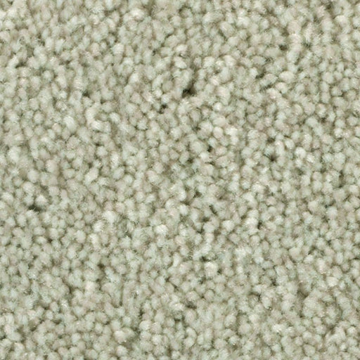 Distinct Beauty I Thatched 749