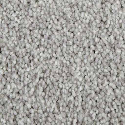 Distinct Beauty I City Loft 919