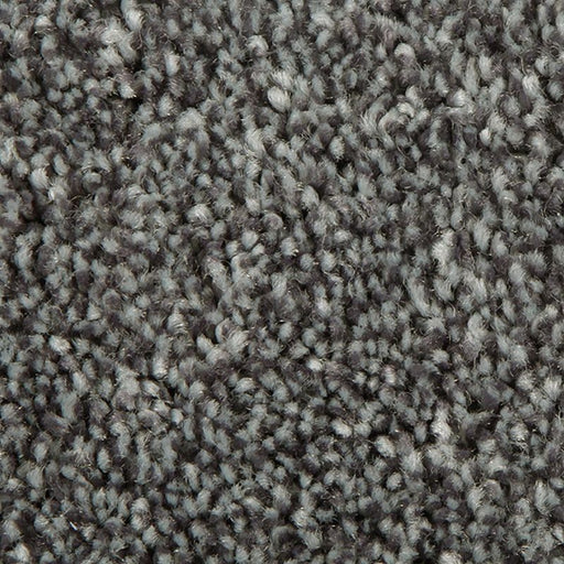 Distinct Beauty I Slate 969