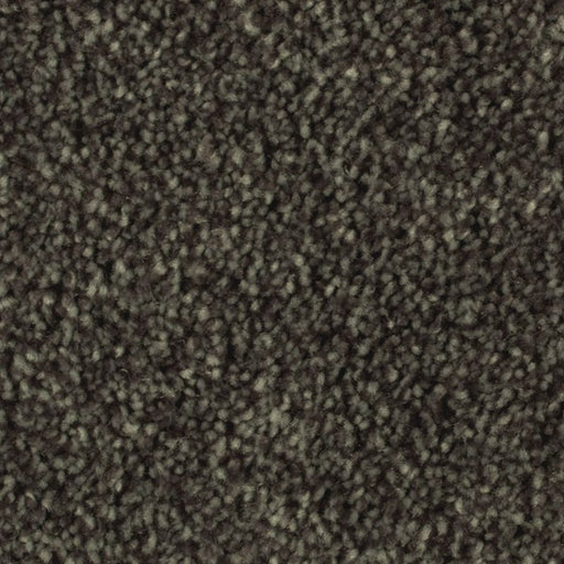 Distinct Beauty II Evergreen 669