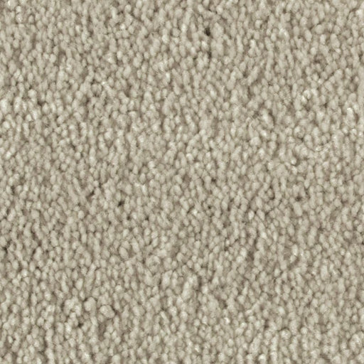 Distinct Beauty II Old Town 729