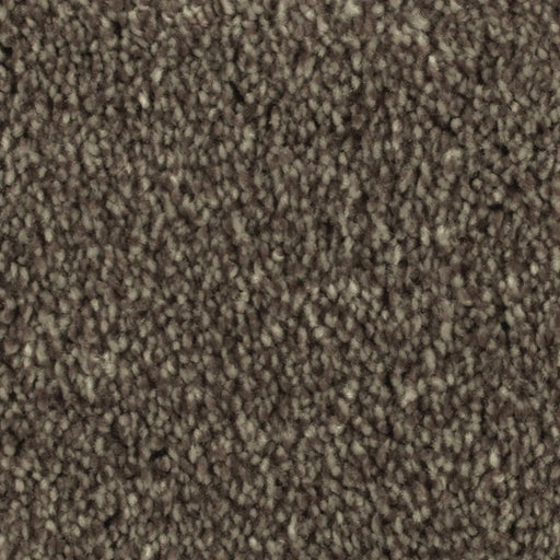 Distinct Beauty II Coffeehouse 863