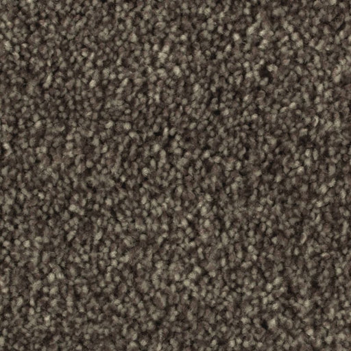 Distinct Beauty II Castile 879