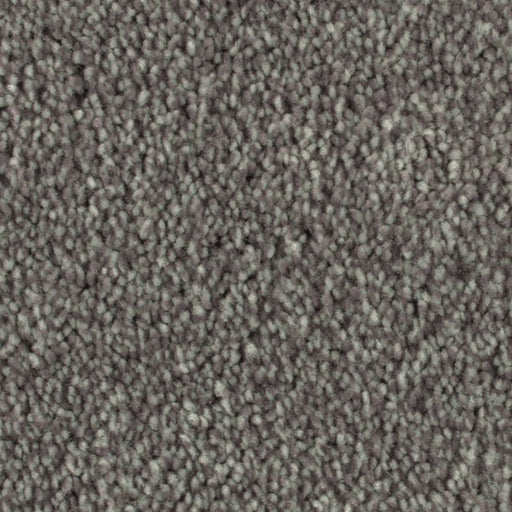 Distinct Beauty II Cannon 949