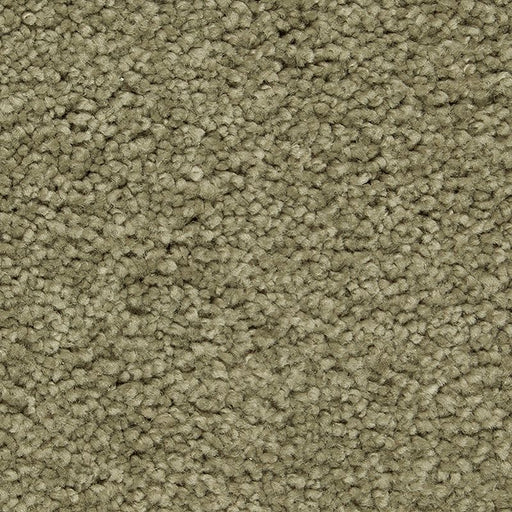 Peaceful Elegance Valley Fog 522