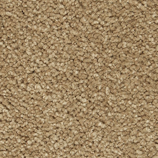 Peaceful Elegance Tortoise Comb 539