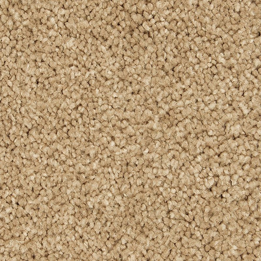 Pleasant Touch Canterbury 528