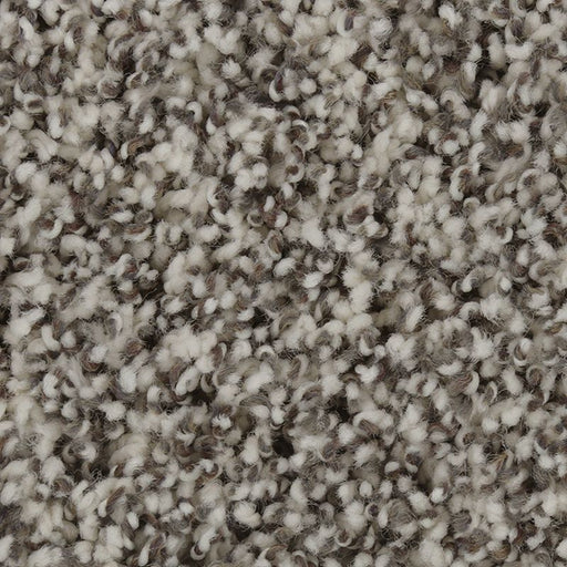 Exquisite Accent Winter Ash 501