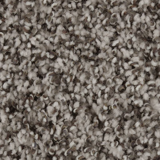 Exquisite Character White Wash 504