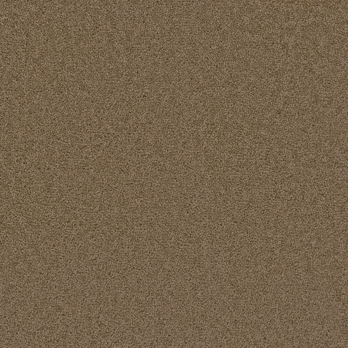 Broadcast Polyester Honey Beige 510 Carpet Textured 1