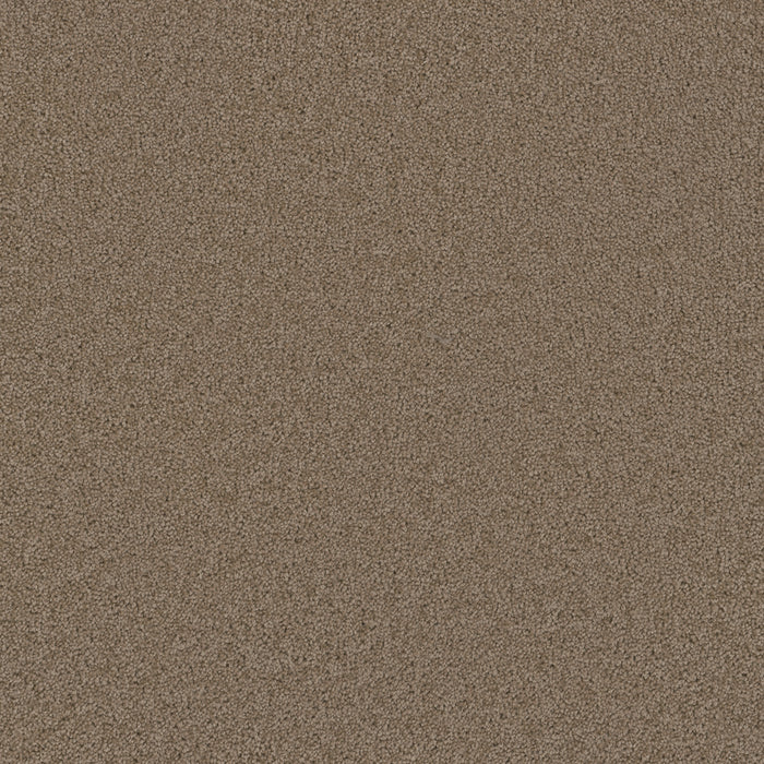 Broadcast Polyester Doeskin 530 Carpet Textured 1
