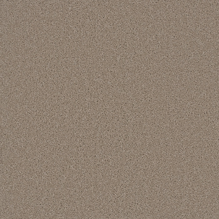 Broadcast Polyester Flax Beige 535 Carpet Textured 1