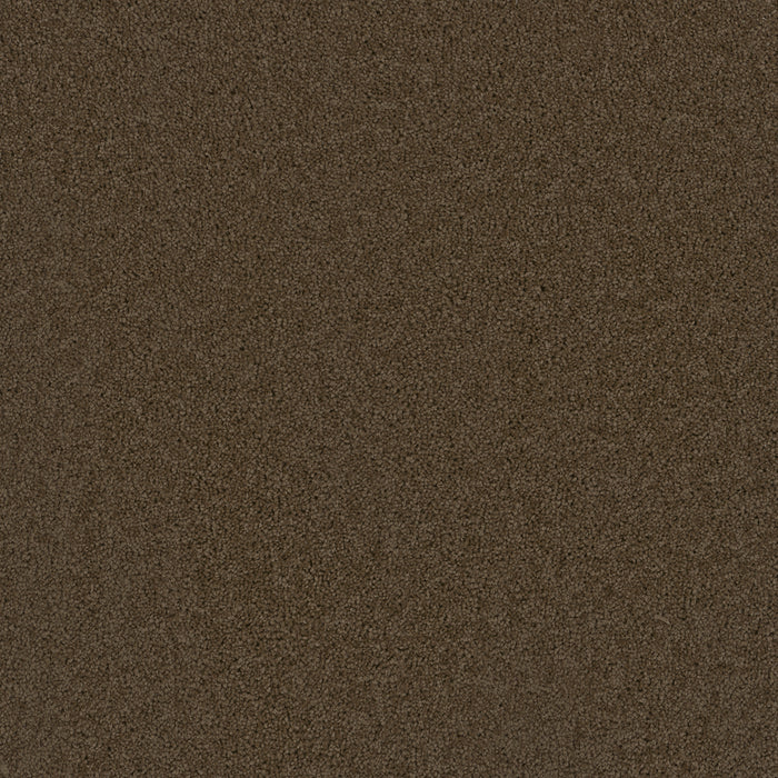 Broadcast Polyester Latte 550 Carpet Textured 1