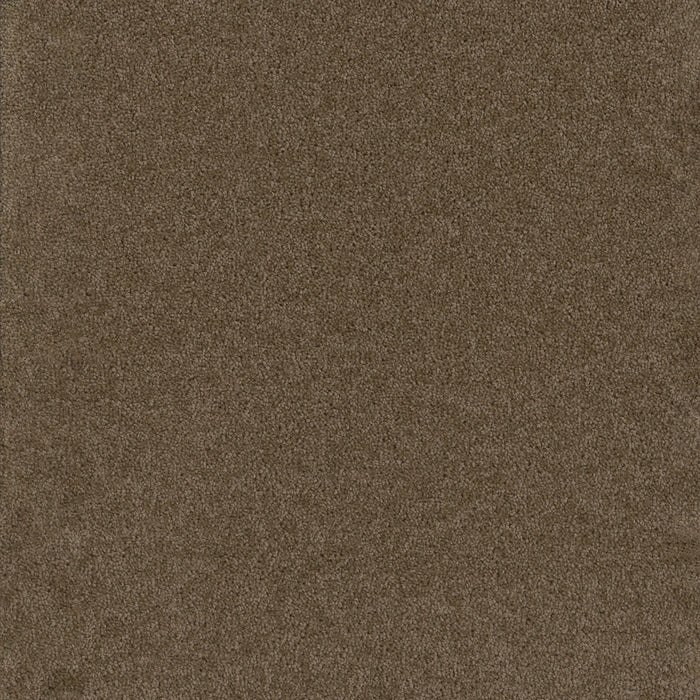 Broadcast Polyester Balsam 565 Carpet Textured 1