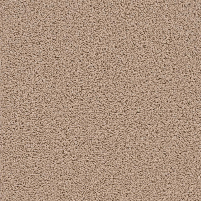 Broadcast Polyester Dusk 575 Carpet Textured 1