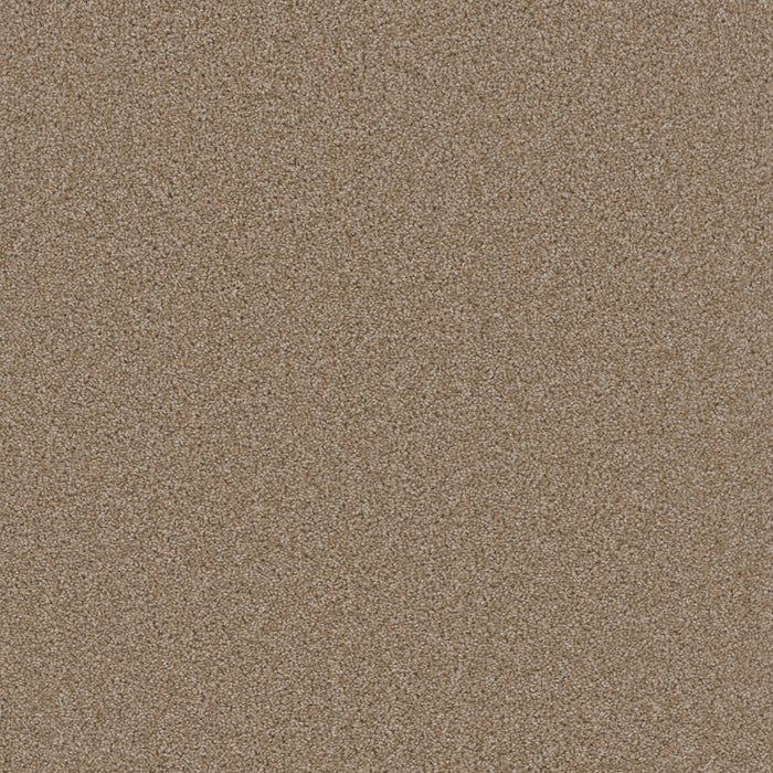 Broadcast Polyester Sawgrass 701 Carpet Textured 1