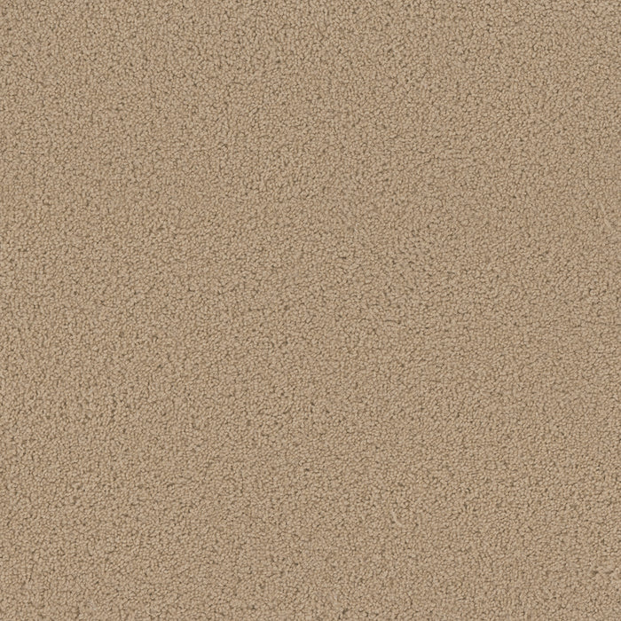 Broadcast Polyester Cookie Dough 705 Carpet Textured 1