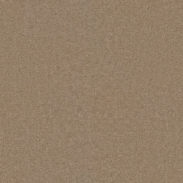 Broadcast Polyester Camel 710 Carpet Textured 1