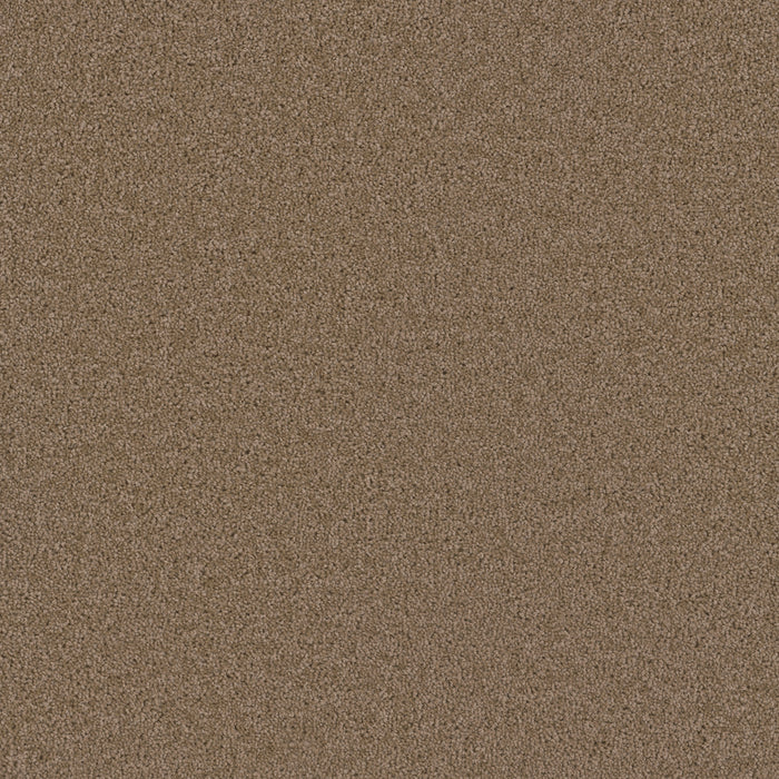 Broadcast Polyester Sandstone 715 Carpet Textured 1