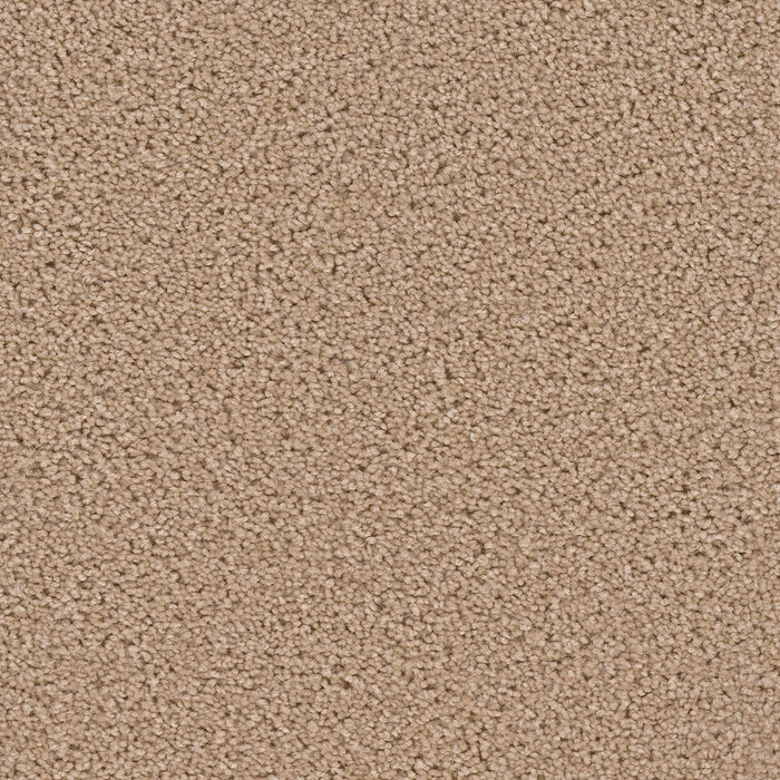 Broadcast Polyester Raffia 765 Carpet Textured 1