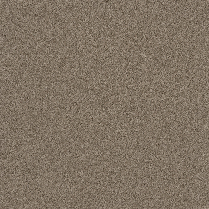 Broadcast Polyester Ash 775 Carpet Textured 1