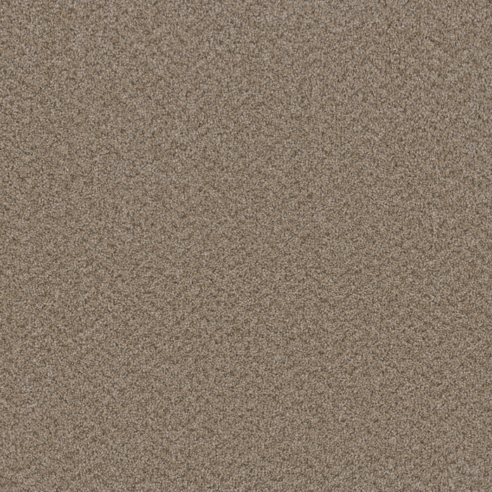 Broadcast Polyester Almond 782 Carpet Textured 1