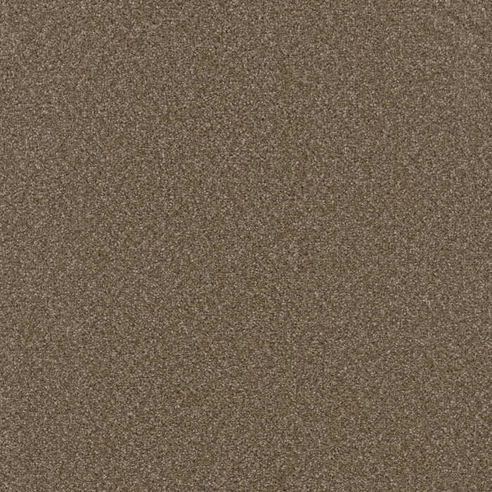 Broadcast Polyester Chestnut 806 Carpet Textured 1
