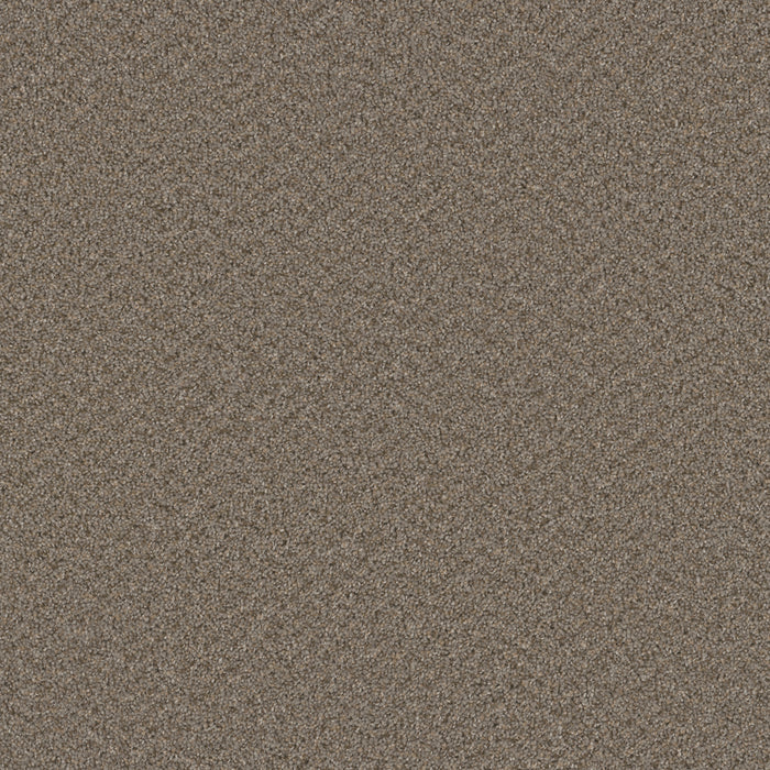 Broadcast Polyester Cinder 835 Carpet Textured 1