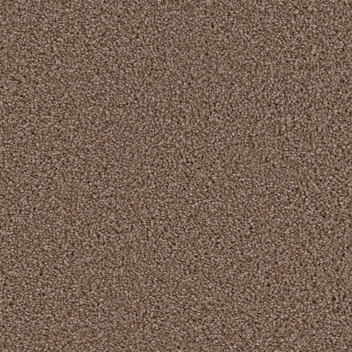 Broadcast Polyester Lava 909 Carpet Textured 1