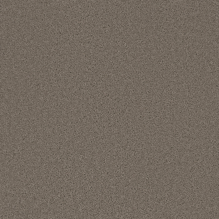 Broadcast Polyester Castle 945 Carpet Textured 1
