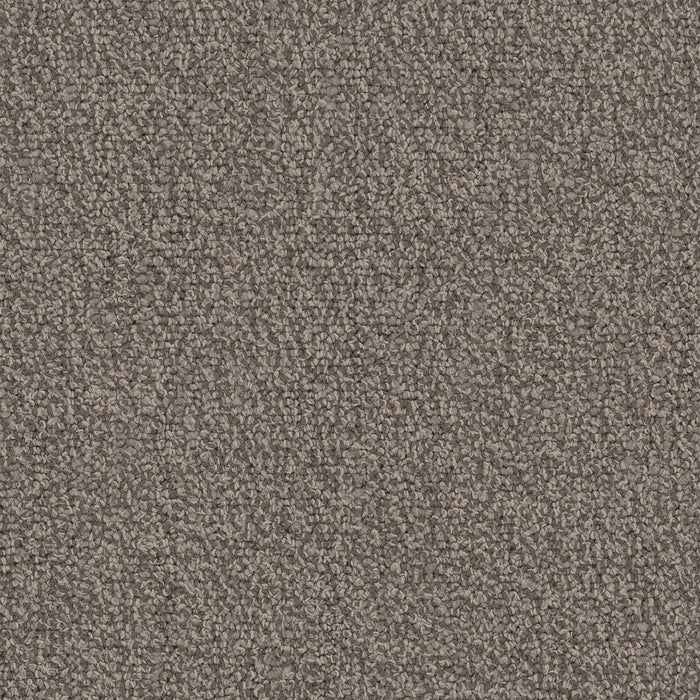 Chivalry 20 Broadloom Encore SD Nylon Nobel 2642 Carpet Loop 1