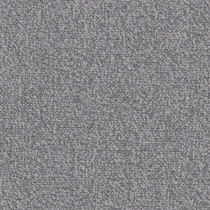 Chivalry 20 Broadloom Encore SD Nylon Courteous 2643 Carpet Loop 1