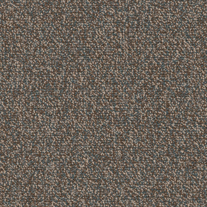 Chivalry 20 Broadloom Encore SD Nylon Faithful 2647 Carpet Loop 1