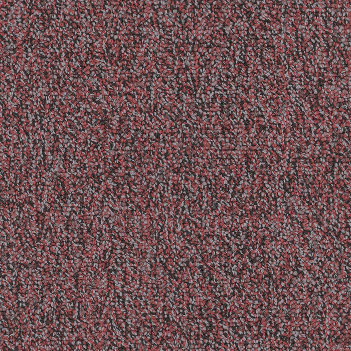Chivalry 20 Broadloom Encore SD Nylon Romantic 2648 Carpet Loop 1