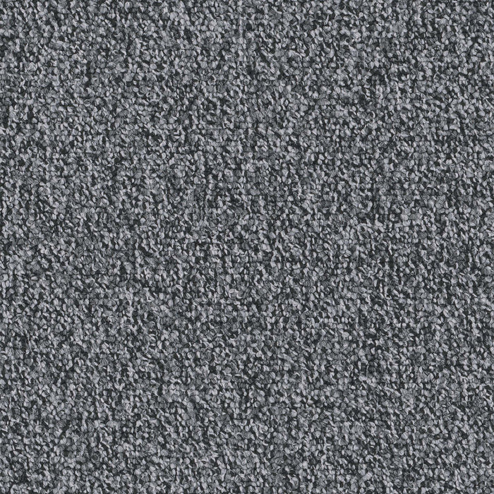 Chivalry 20 Broadloom Encore SD Nylon Respectful 2652 Carpet Loop 1