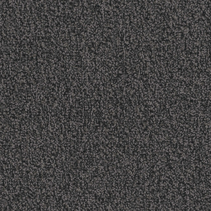 Chivalry 20 Broadloom Encore SD Nylon Gentleman 2654 Carpet Loop 1