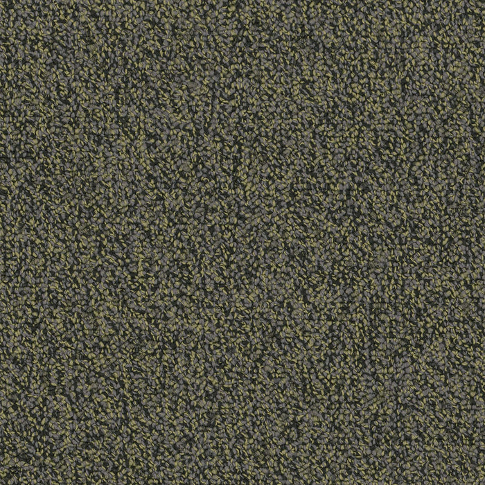 Chivalry 20 Broadloom Encore SD Nylon Generous 2655 Carpet Loop 1