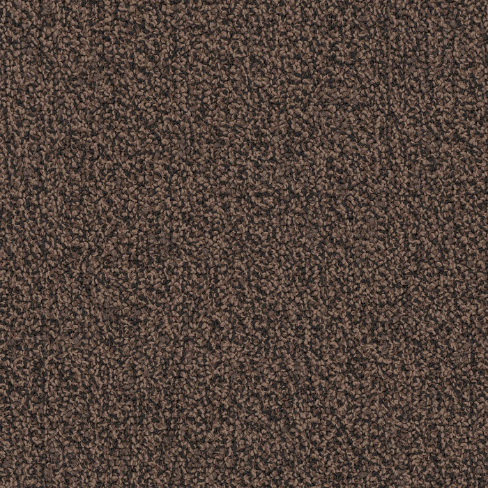 Chivalry 20 Broadloom Encore SD Nylon Humanity 2656 Carpet Loop 1