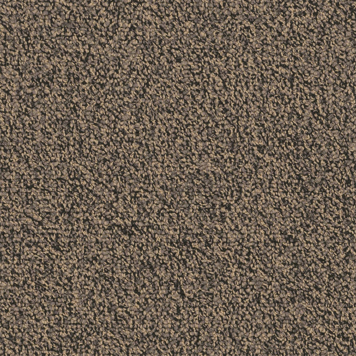 Chivalry 26 Broadloom Encore SD Nylon Honor 2644 Carpet Loop 1