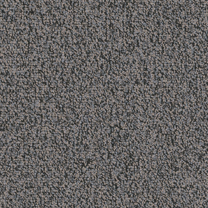 Chivalry 26 Broadloom Encore SD Nylon Character 2645 Carpet Loop 1