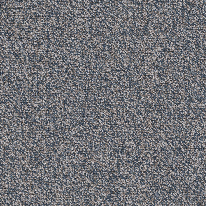 Chivalry 26 Broadloom Encore SD Nylon Defender 2649 Carpet Loop 1