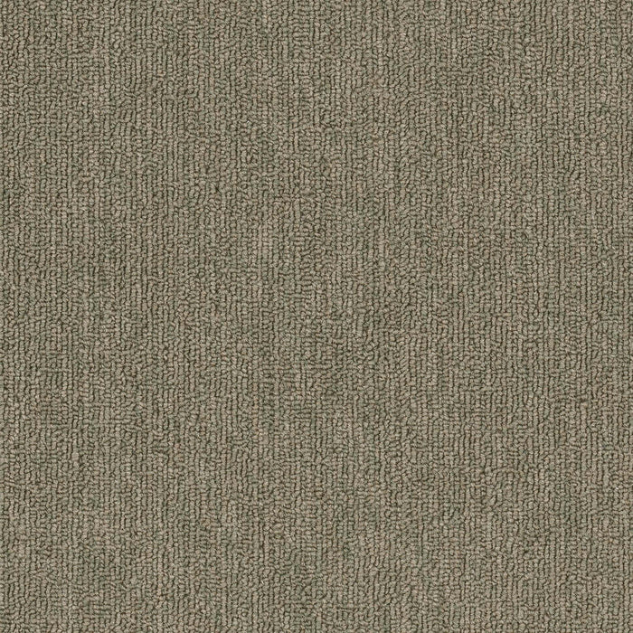Quicksilver 20 Broadloom APEX SDP Polyester Titanium 2157 Carpet Textured 1